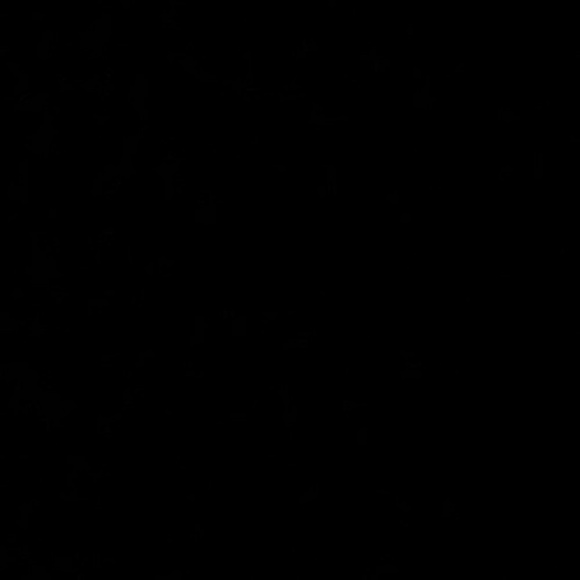 Meet your Posher, Jenna - Picture 1 of 1